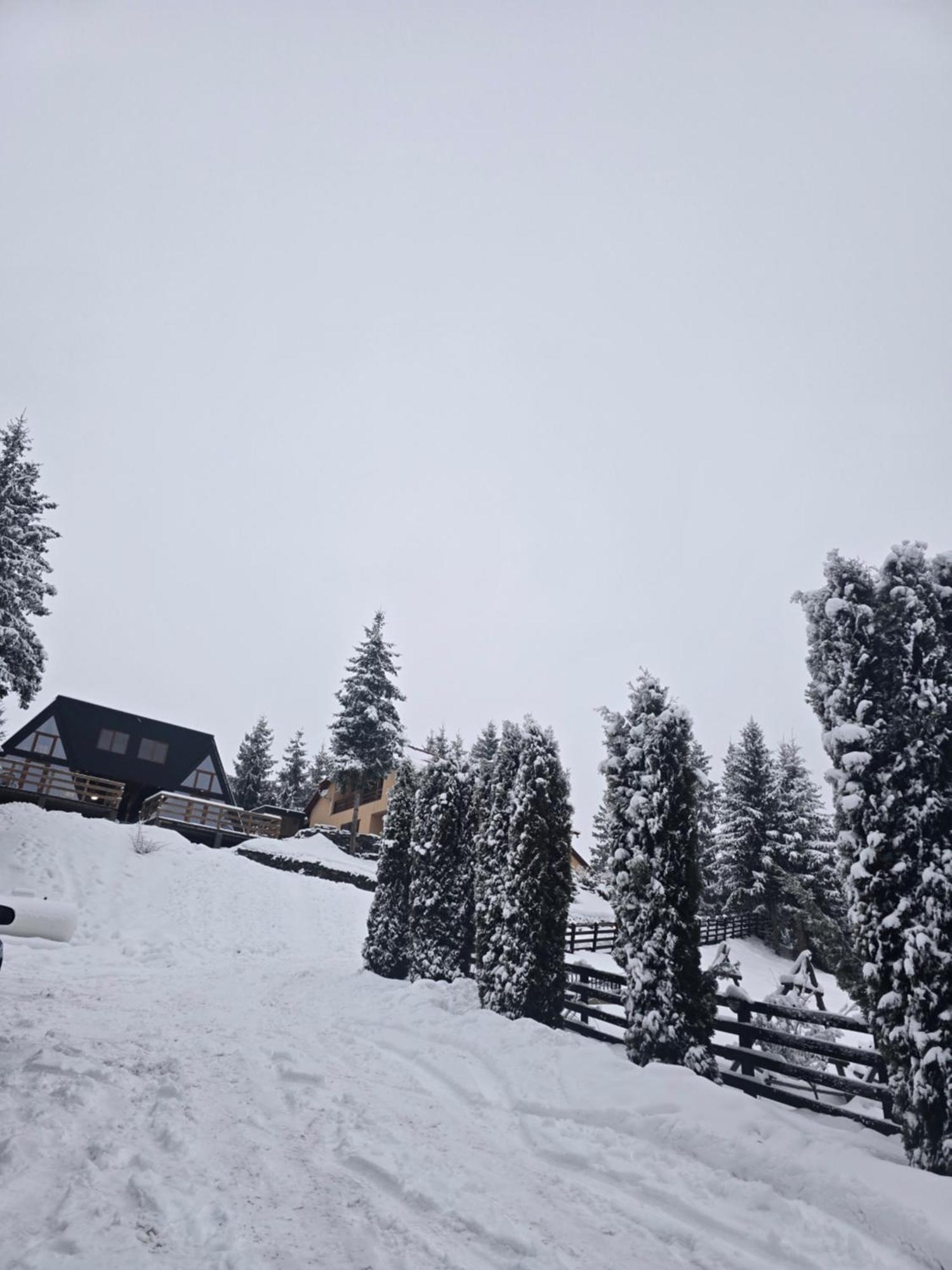 Holiday home A-frame Ceziade Tihuta